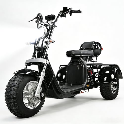 3 Wheels Electric Fat Tire Mobility Scooter 3000W Motor 60V 20Ah Removable Lithium Battery 18 Inch Off Road Tires 28 MPH Max Speed 25 Mile Range LED Lights Rear Basket and Trunk