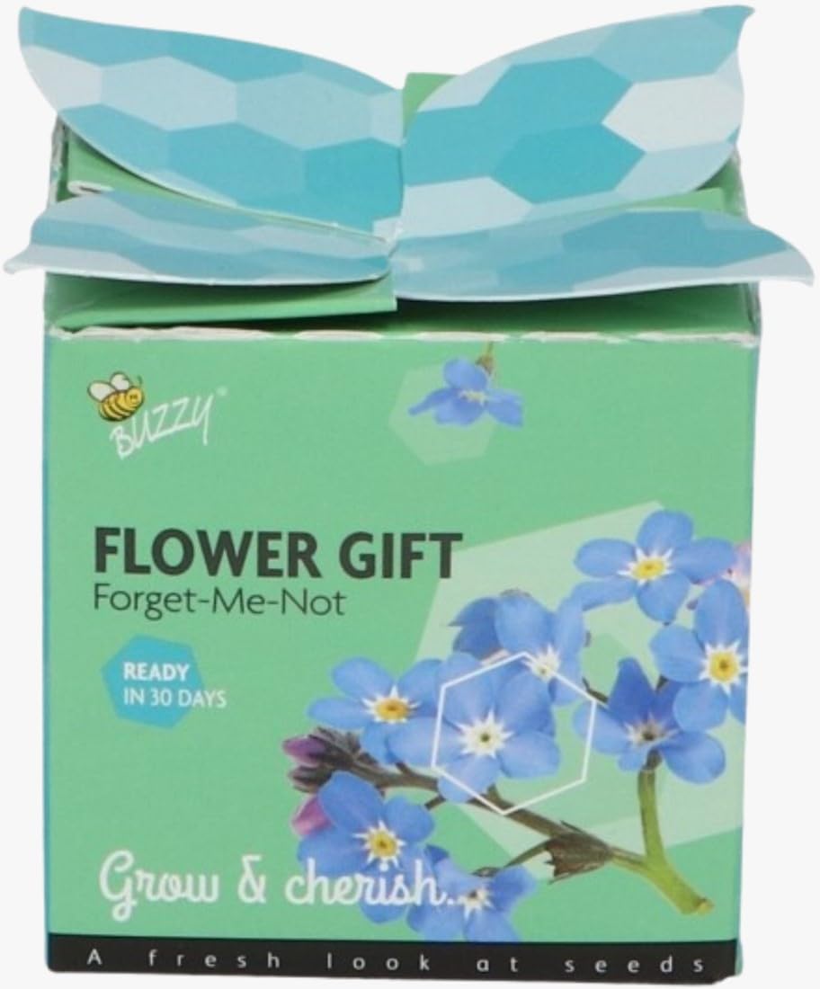 Buzzy Flower Seeds Nontiscordardimé (Myosotis) - Confezione Regalo Display 48 Pezzi - Semi Fiori Blu Primaverili