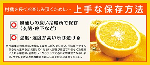 Amazon.co.jp: みかん パール柑 10kg 熊本産 ご家庭用 柑橘 果物