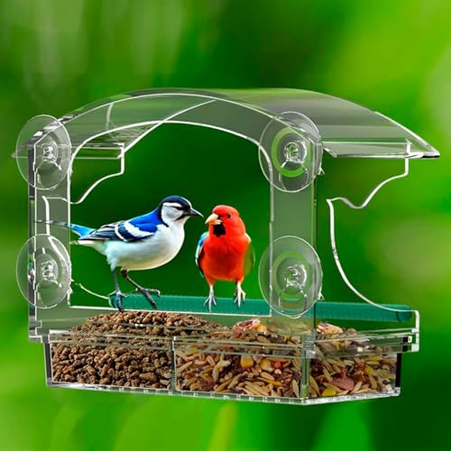 Mangeoire à oiseaux en acrylique transparent avec 4 ventouses pour extérieur - 2