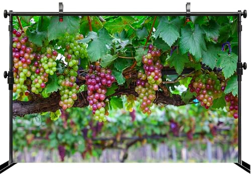 Fondo Fotográfico Tema Uvas 7x5FT Colorido miniatura 3