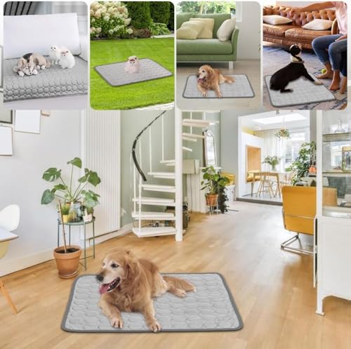 LOMUG Hundekäfigmatratze, Hundekissen Waschbar Hundebett Weiche Zwingerunterlagen Haustierbettdecke Haustier Sofakissen Hundekäfigmatte Hundedecke Hundebettmatten für Hunde & Katzen Größe XL 100x70 cm