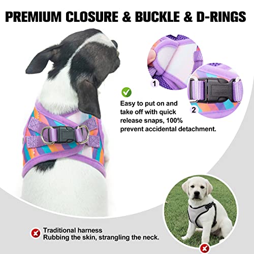 Beautyzoo Dog Harness And Leash Set For Small Dogs,No Pull Step-In Harness For Puppy Xs S Sized Dogs And Cats,Air Mesh Adjustable Breathable Soft No Chock Escape Proof Vest Harness,Striped Purple Xxs #TOP3