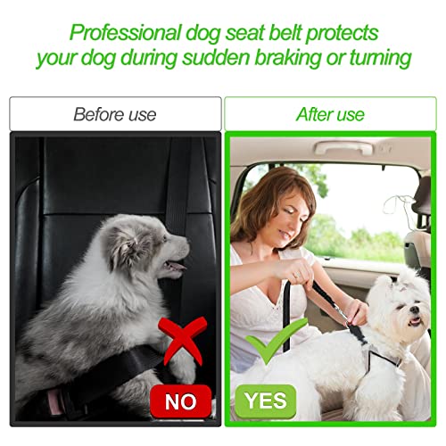 Redamancy Hundegurt fürs Auto, 1 Stück Verstellbarer Anschnallgurt, Hunde Sicherheitsgurt für Auto, Hundesicherheitsgurt mit Elastischer Ruckdämpfung und Starke Karabiner, für Hunde und Katzen.