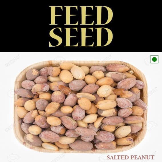 FEEDSEED Salted Rosted Peanuts Khari Sing Gluten Free Groundnuts Singdana Mungfali High Protein Earthnuts (250 gm) (B0D1G1PKH7) Amazon Price History, Amazon Price Tracker