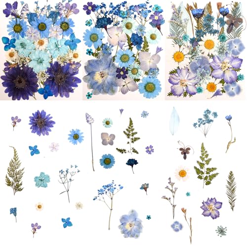 Image of 100 PCS Blue Pressed Dried Flowers and Leaves with Tweezers | Natural Dried Flowers, For Resin, Candle, Jewelry, Scrapbooking & DIY Crafts
