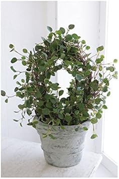 Amazon Co Jp ワイヤープランツ トピアリー Diy 工具 ガーデン