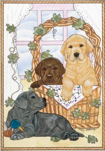 Labrador Retriever Blank Note Cards Boxed