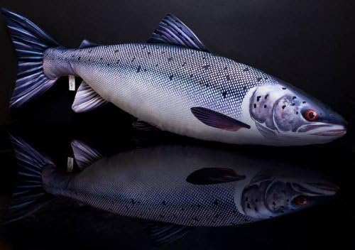 Gaby Novelty Fish Pillow/Cushion5 Species Carp, Brown Trout, Perch, Pike and Atlantic SalmonFishing Present Xmas Fishing Present Toy (Salmon)