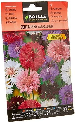 Semillas Batlle Centaurea VARIADA Doble