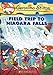 Field Trip to Niagara Falls (Geronimo Stilton, No. 24)