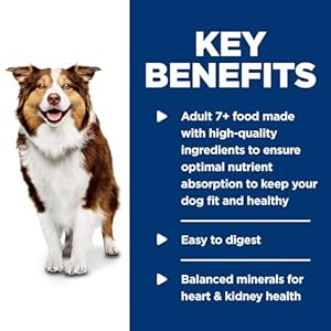 Hill’s Science Diet Adult 7+, Senior Adult 7+ Premium Nutrition, Wet Dog Food, Beef & Vegetables Stew, 12.8 oz Can, Case of 12