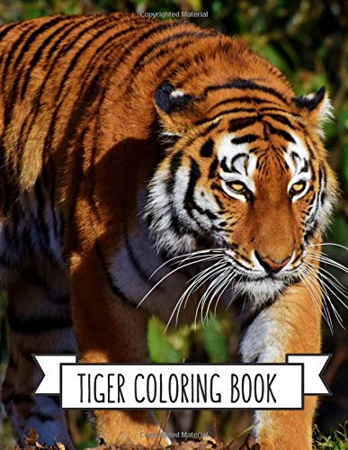 Tiger Coloring Book: Coloring Toy Gifts for Kids or Adults | Cute Easy and Relaxing Realistic Animal Large Print Birthday Gifts