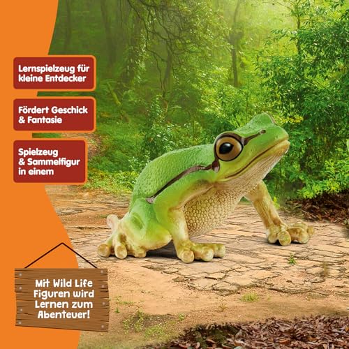 schleich WILD Life | Europäischer Laubfrosch 14882 | detailgetreue Tierfiguren | Zoo Spielzeug | tolles Geschenk für Jungen und Mädchen | Deko für Geburtstag | Spielfigur ab 3 Jahren | 4 x 5 x 3 cm