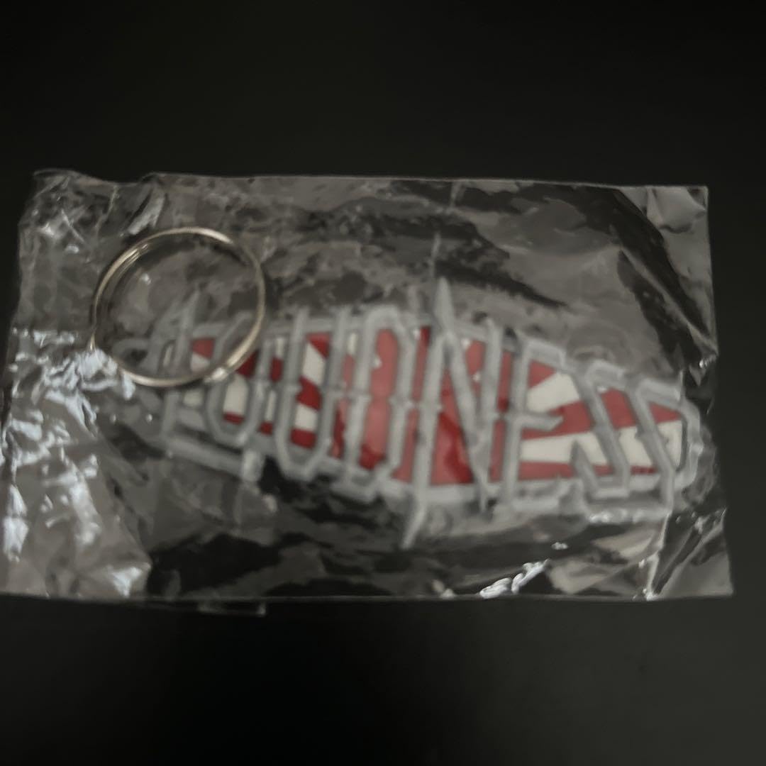 Amazon.co.jp: ラウドネス LOUDNESS キーホルダー : おもちゃ