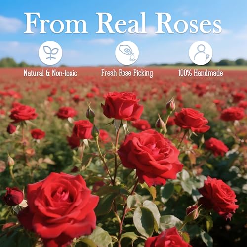 27 Forever Roses in Luxury White Box, Eternal Real Roses Gift for Women, Preserved Flowers for Delivery Prime, Anniversary, Valentine's Day, Birthday for Her (Red) - Image 4