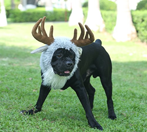 moose dog costume
