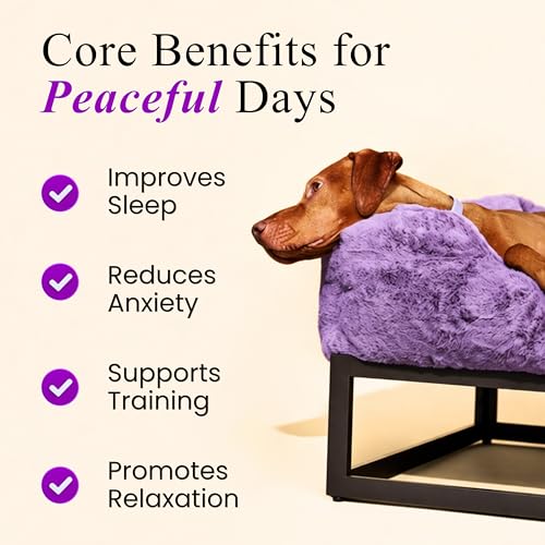 Image of Petroyale Calming Chews for Dogs with Hemp Seed Oil - Anti-Anxiety Supplement for Dogs - Reduces Stress & Aggression in Dogs - Dog Behavioral Management (Calming Chew & Calming Collar Combo)