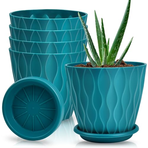 Enenes 6 Inch Plant Pots, 5 Pack Indoor Flower Pots Outdoor Planter Planting with Drainage Holes, and Tray Saucers for All Home Gardens Succulents