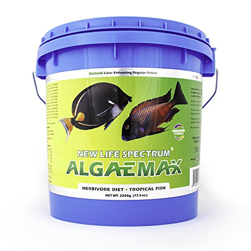 New Life Spectrum AlgaeMax Regular 2200g (Naturox Series)