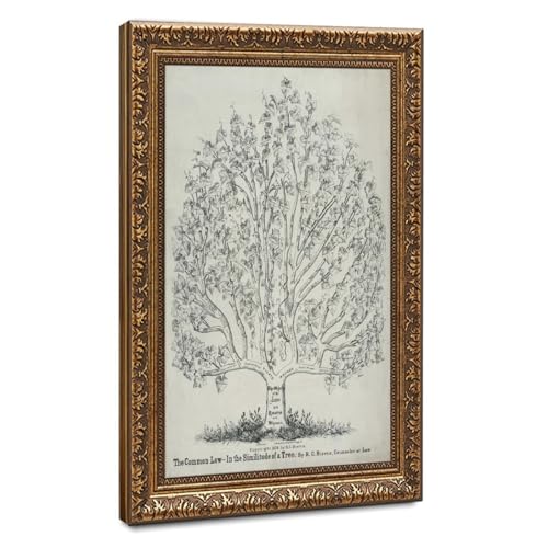 Toile The Common Law 1878 cadeau idéal pour juriste et passionné d'histoire