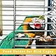 MIRKUZI Handfütterungszubehör für Vögel 6 Stück Kunststoff-Futterspender-Clips für Vogelkäfige, Obst- und Gemüse-Clips für Papageien, Vogelkäfig-Zubehör für Wellensittiche, Sittiche, Kakadus, Aras