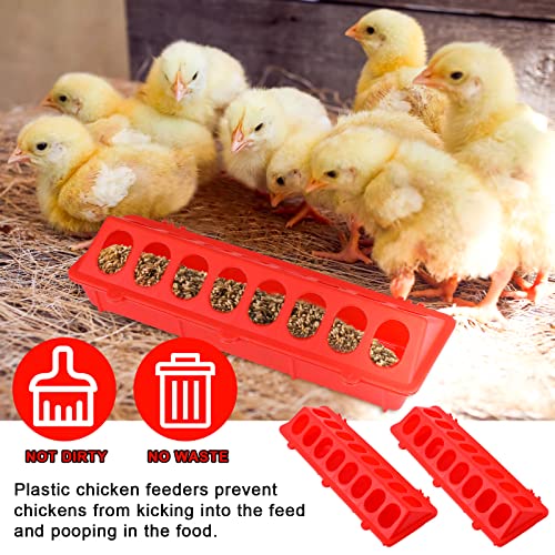 4 Plastic Flip Top Bird Small Poultry Feeder For Pigeon Chicken Feeder Small Poultry Feeder Drinker Duckling Quail Feeder No Mess No Waste Multihole Birds Feeding Dish Dispenser (Red) #TOP4