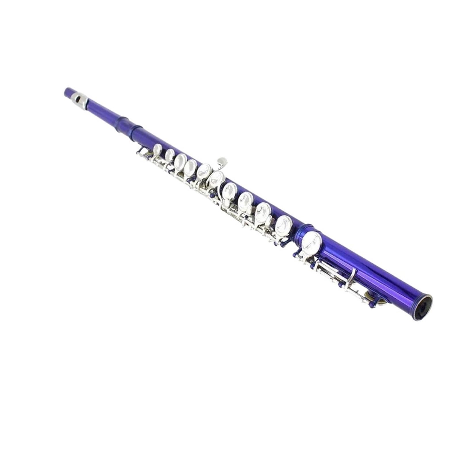 Amazon | フルート ブルー 16 穴 C キー フルート クローズド オープン
