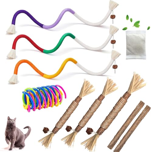 itPlus L̂ ރ[vASilvervine SticksLbgjbv[vgC qL̎ȃPAAL̂߂̈SȎ̃N[jOALeBLbJ[gC C^NeBuLbgjbvLeB ׂĂ̕ip