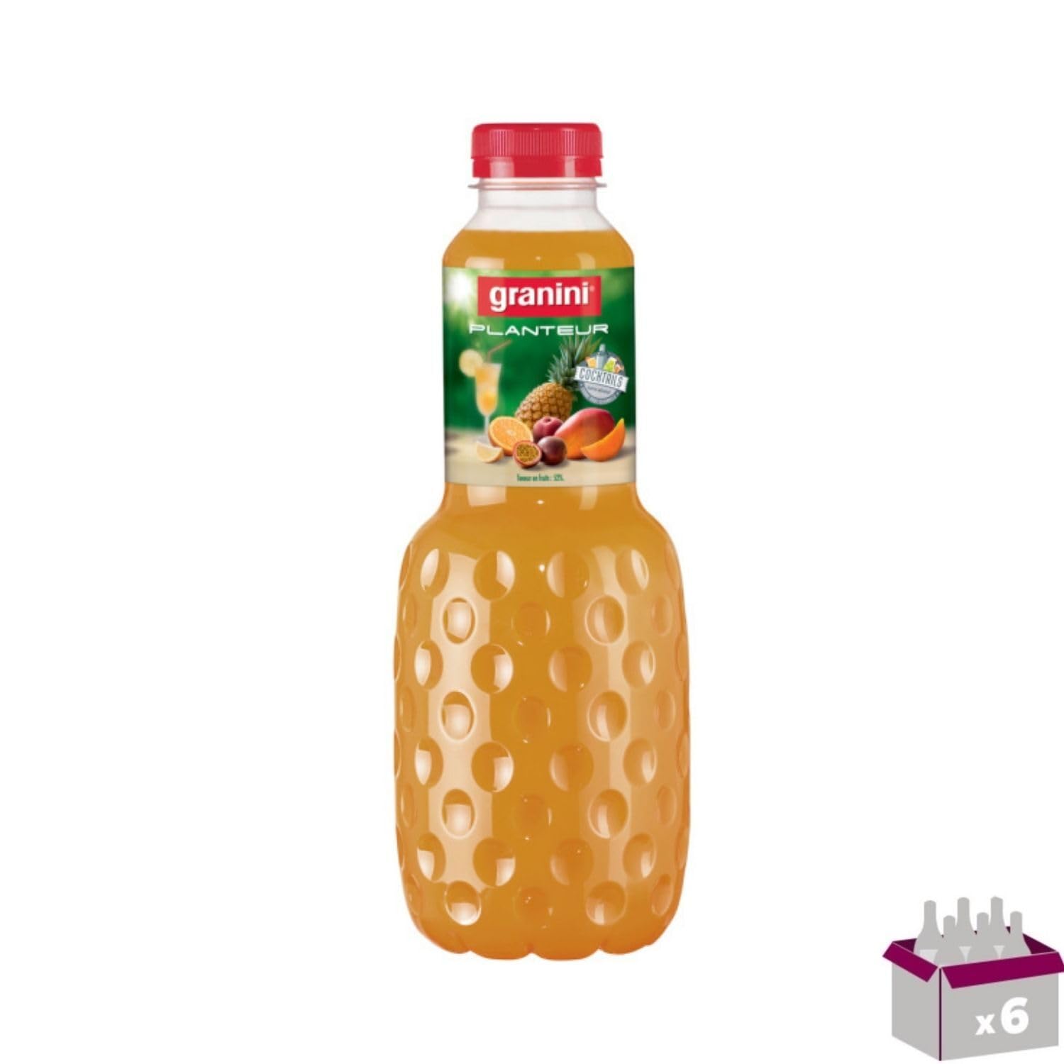 Granini Pflanzgefäß 6x1L