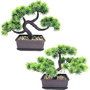 Fycooler Bonsaï Artificiel en Pot Fausses Plantes Plantes artificielles en cèdre en Pot Usine de bonsaï de pin Japonais pour Bureau/Cour, Bureau, décoration de Jardin Zen (Pack de 2)