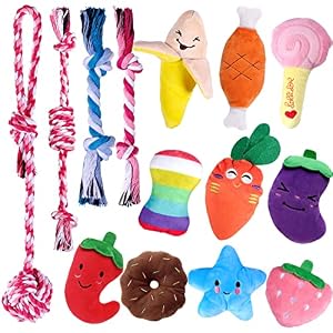 14 Pack Puppy Toys Squeaky Plush Dog Toys for Small Dogs Cute Puppy Teething Chew Toy Indestructible Ropes Toys Durable and Interactive Pet Toys