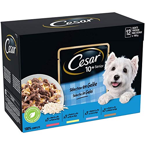 CESAR Sachets fraîcheur en sauce pour chien senior aux 4 saveurs, 48 sachets repas de 100g