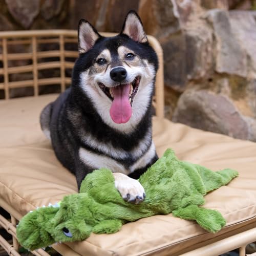 Image of Best Pet Supplies 2-in-1 Fun Skin Stuffless Dog Squeaky Toy Alligator, Small