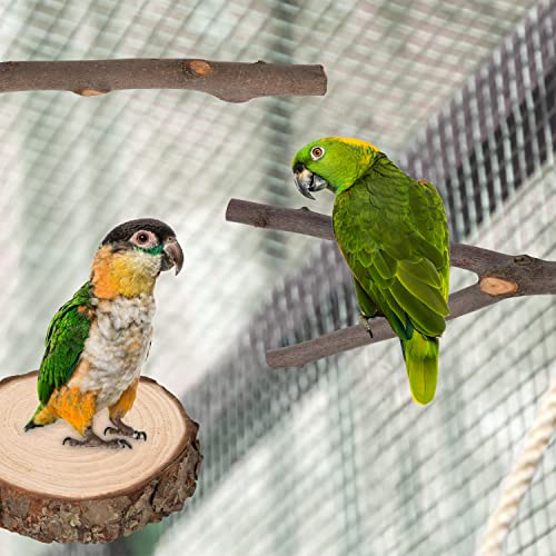 Image of 36 PCS Bird Perches Stand Toy, Natural Wood Parrot Perch Stand Bird Cage Branches Platform Accessories for Parakeets Cockatiels Conures Macaws Finches Love Birds