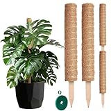 Moss Pole 26.4' Small Monstera Plant Support 2 Pcs Set - Pothos Plant Climber Support with Connectable Design and Fixation Strip - Coconut Fiber Moss Poles for Monstera, Money Plants, Philodendron