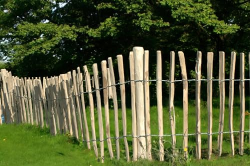 DEIN Staketenzaun - Personalisierter Gartenzaun 50-120cm Höhe | Staketenabstand 8-10cm | Holzzaun aus hochwertiger Haselnuss | Made in EU