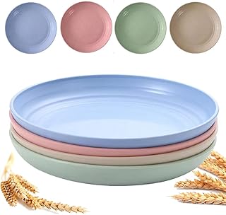25 Quick College Dinner Recipes That Are Budget Friendly and Fast 145 9 Inch Unbreakable Wheat Straw Plates - Reusable Plate Set - Dishwasher ...