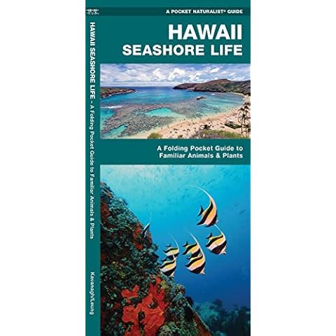 Hawaii Seashore Life: An Introduction to Familiar Species (A Pocket Naturalist Guide) Cover