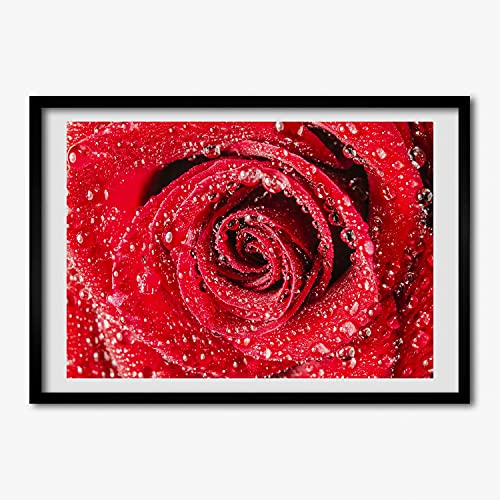 Tableau photo MDF 70x50 cm avec motif de gouttes d'eau sur une rose rouge