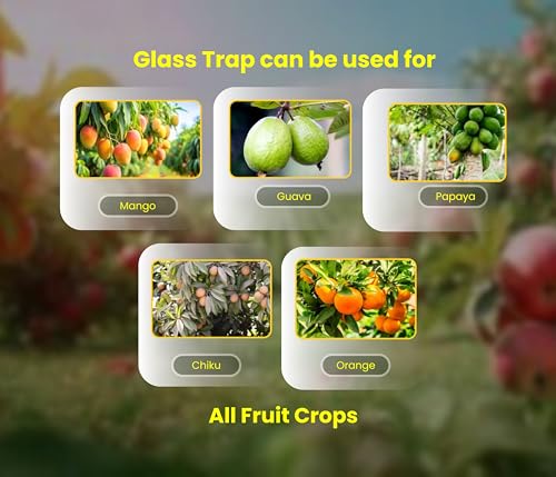 Image of Chipku Bactocera Dorsalis Fruit Fly -Pack of 5 Outdoor Eco Pheromone Trap with Lure Useful in Mango, Papaya, Sapota, Guava, Pomegranate, Sweet Fruit Yellow