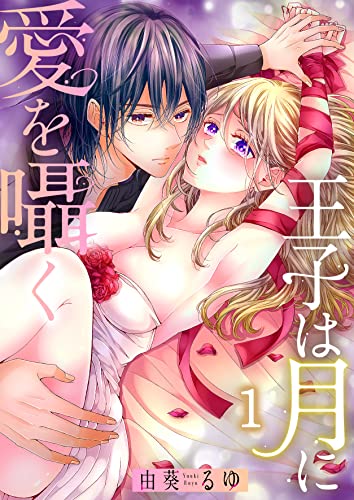 王子は月に愛を囁く1 (ユワエル)