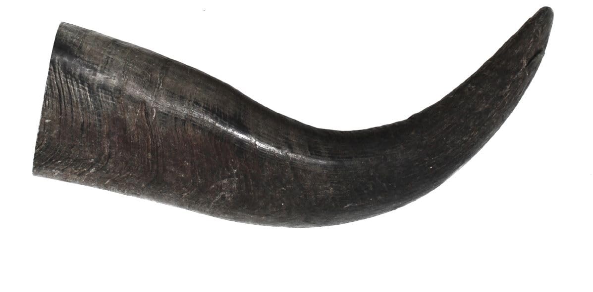 peaksNpaws Premium Free Range & Grass Fed Buffalo Horns - Large