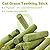 6PCS Cat Grass Teething Stick Cat Grass Sticks for Indoor Cats, Cat Dental Sticks Cat Chew Sticks Cat Teeth Cleaning Treats Natural Grass Catnip Sticks Catnip Toys Sticks for Hairball Removal