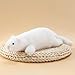 RLOMUTE Peluche Hurón de Las Nieves Animal Realista Suave y Lindo para Juguete de Fiesta Dormitorio Coche decoración del hogar Regalo Coleccionable para Niños niñas 19 Imagen de RLOMUTE Peluche Hurón de Las Nieves Animal Realista Suave y Lindo para Juguete de Fiesta Dormitorio Coche decoración del hogar Regalo Coleccionable para Niños niñas 19