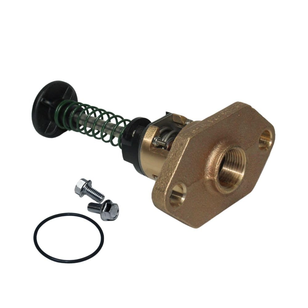 Amazon.com : Raypak 018758F UG/Bypass Assy 105f 336-408-kit