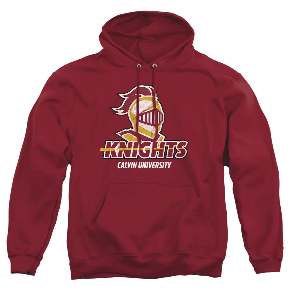LOGOVISION Official Collegiate Distressed Primary Logo Adult Pullover Hoodie Collection — view 184