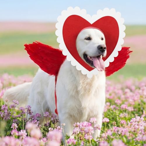 Disfraz para perro Día de San Valentín con alas y accesorios 13.8 in miniatura 4