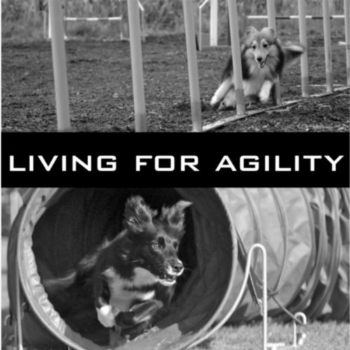 Agility