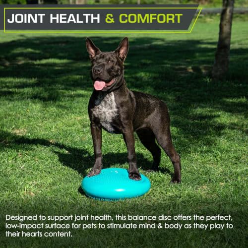 Image of ProsourceFit Core Balance Disc, Inflatable Wobble Cushion with Hand Pump, Dual-Textured Non-Slip Surface for Core, Balance, and Stability Training, 14-inch